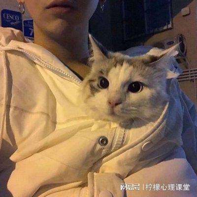 驾驶冲撞大冒险手游