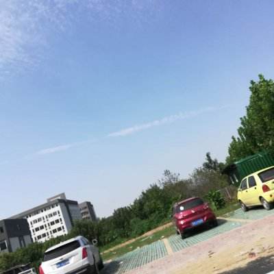 求生之王内购破解版下载